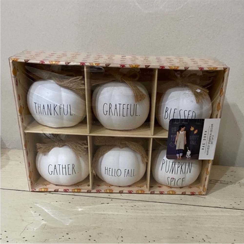 White Decorative Fall Pumpkin set